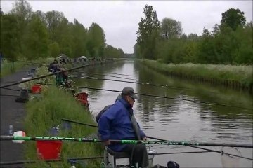 QUAILIFICATIF MASTERCAINE  26 MAI 2013 CATILLON- SUR -SAMBRE POUR LE DEPT DU NORD