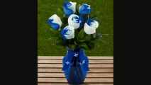 Ftd Us Air Force Academy Fightin Falcons Rose Flowers 6 Stemsvase Included