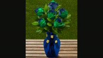 Ftd Notre Dame Fighting Irish Rose Flowers  6 Stems  Vase Included