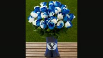 Ftd Brigham Young University Cougars Rose Flowers  24 Stems  Vase Included