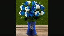 Ftd University Of Connecticut Huskies Rose Flowers  12 Stems  Vase Included