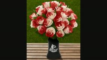 Ftd University Of Louisville Cardinals Rose Flowers  24 Stems  Vase Included