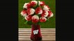 Ftd University Of Wisconsin Badgers Rose Flowers  12 Stems  Vase Included