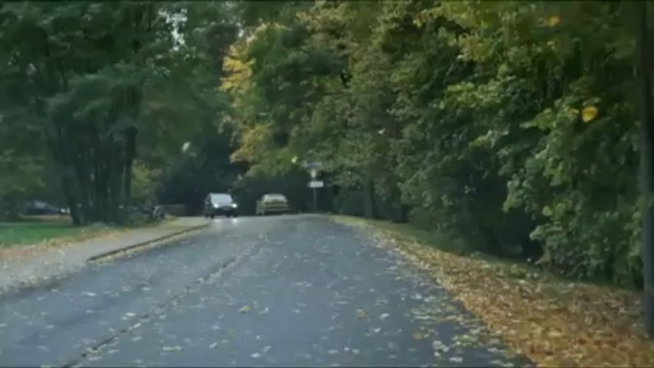 Ford Orijinal Cam Silecekleri