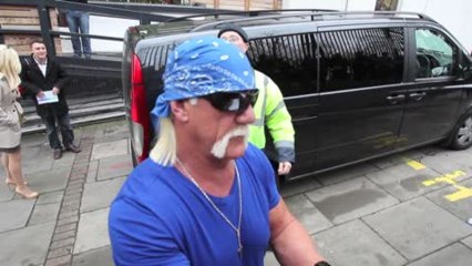 Hulk Hogan Apologizes For Sharing Gory Snaps of Badly Burned Hand