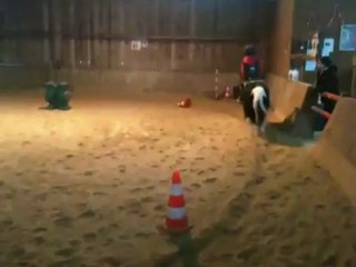 Elina fait du galop 12 jan 2013