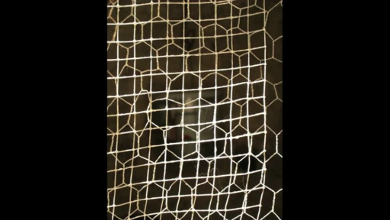 Grillage Cage Poule