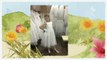 Beautiful First Holy Communion Dresses , Veils in Rhode Island-RI