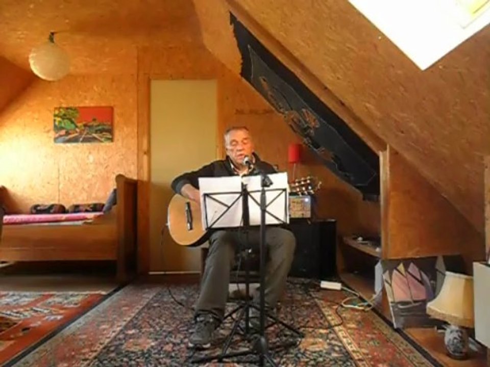 " Je t'en remets au vent " (THIEFAINE) cover