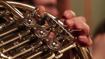 Philharmonisches Kammerorchester Wernigerode