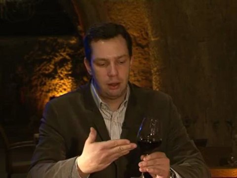 Les trois étapes de la dégustation du vin