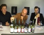 Beaujolais nouveau 2010 : les meilleurs vins en vidéo