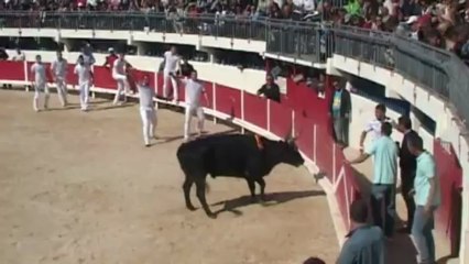 CC Grau du Roi 26052013