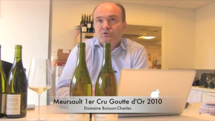 Vins de Bourgogne : double coup de coeur pour Buisson-Charles