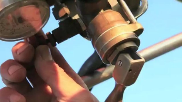 Repas divin : clafoutis salé de poivrons caramélisés, coulis de roquette avec un côtes de Gascogne