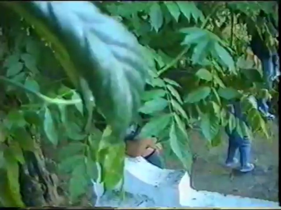 De visita a Montemor 95