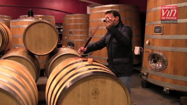Les meilleurs vins rouges de Loire : Présentation de Génération XIX 2010 (domaine Alphonse Mellot)