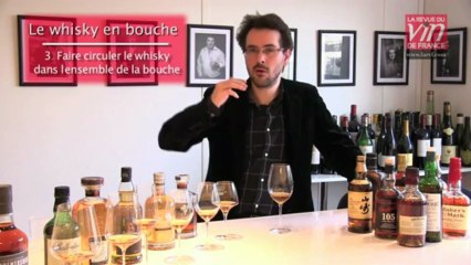 Apprendre à déguster le whisky : Comment apprécier un whisky en bouche ?