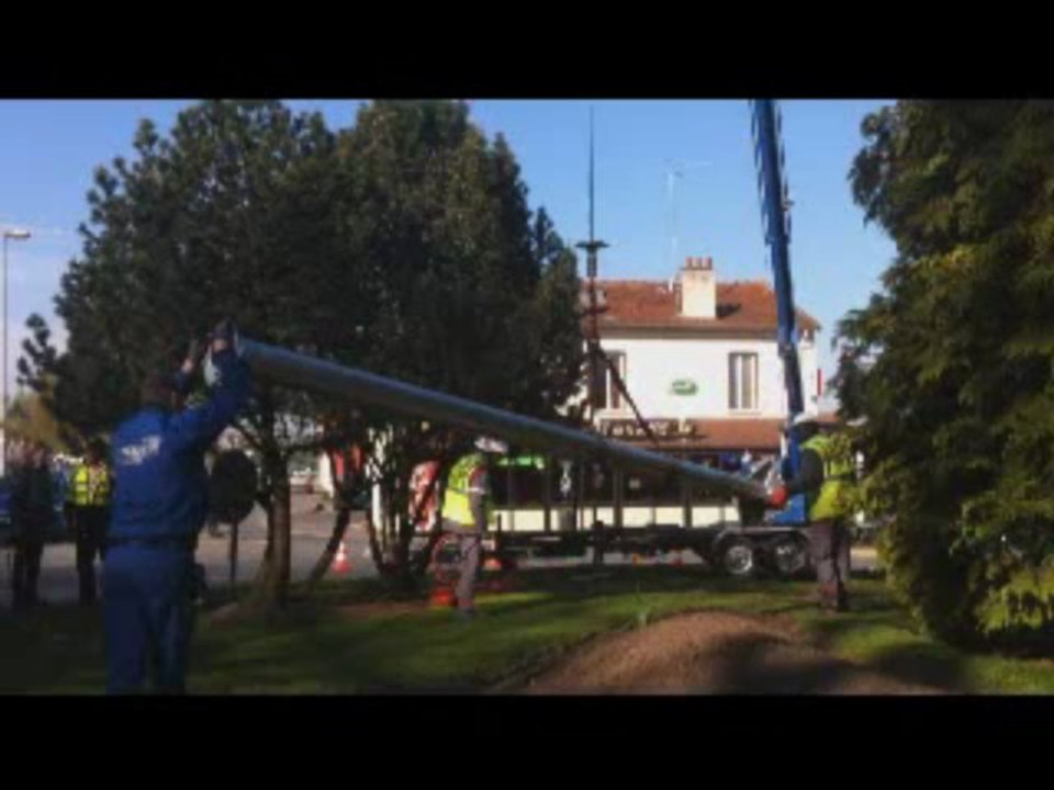 Vidéo Tour à hirondelles Petit Format