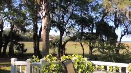 898 Kushiwah Creek Ct, Charleston, SC