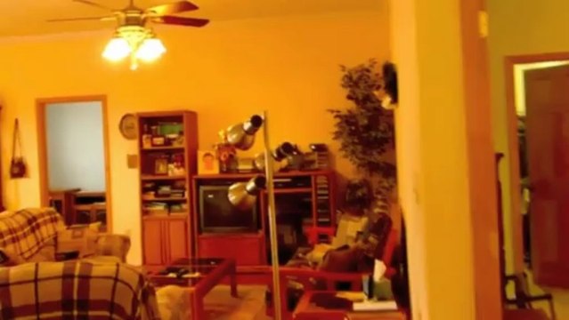 3850 Shannon Hill Road, Columbia, VA