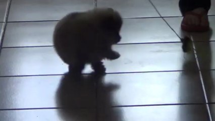 Ilona 1 mois et demi