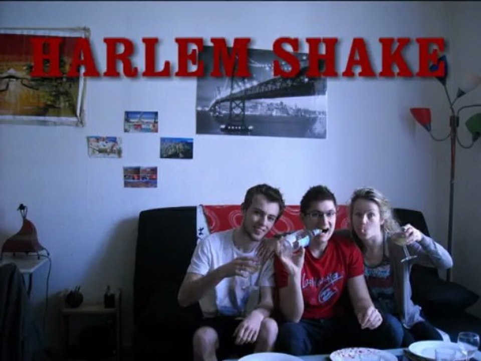 HarlemShake_Toulouse