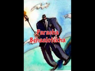 Avrham - Torah Deaf - Behaalotekha