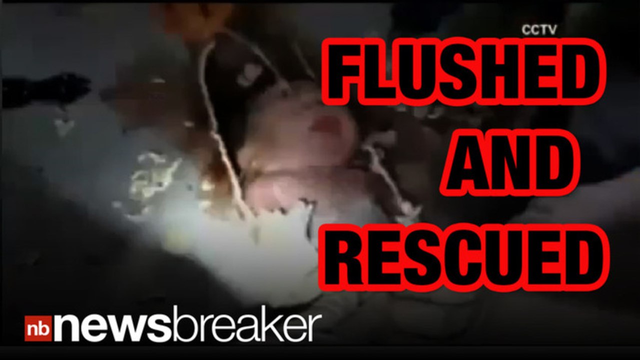 AMAZING VIDEO Baby Flushed Down Toilet Rescued Alive video Dailymotion