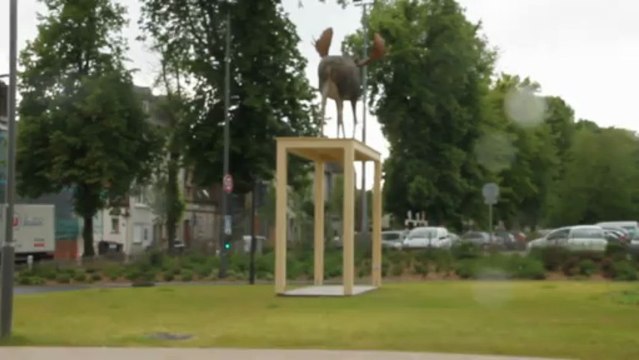 Beauvais : des animaux sauvages débarqués en plein centre
