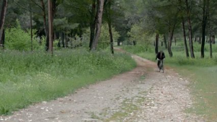Gran Hotel - Capítulo 35. Andrés va a ser ejecutado.