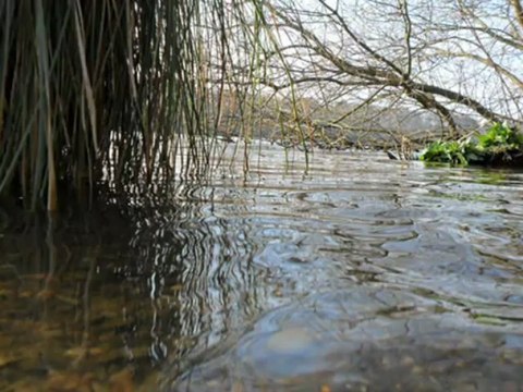 Aviron et sport nautique