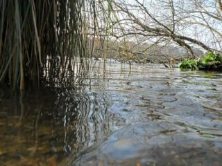 Aviron et sport nautique