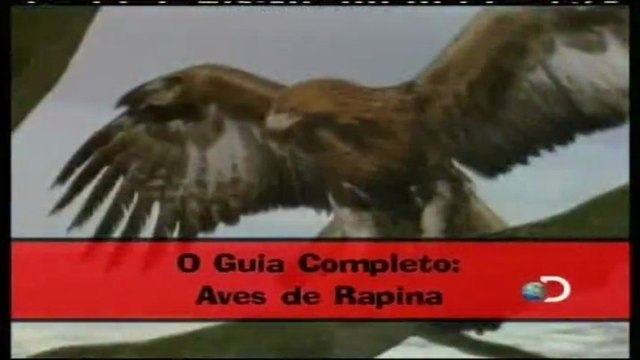 Discovery na Escola - Guia Completo: Aves de Rapina [Discovery Channel]
