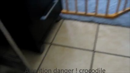 IT'S ME EST ARRIVEE A LA MAISON