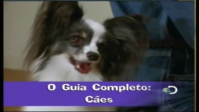 Discovery na Escola - Guia Completo: Cães e Grandes Felinos [Discovery Channel]