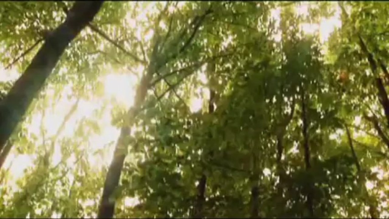 Grup Norrda - Infinite Face