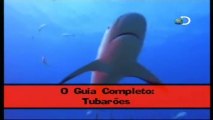 Discovery na Escola - Guia Completo: Tubarões e Baleias [Discovery Channel]