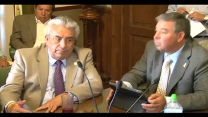 diputados nuevo congreso