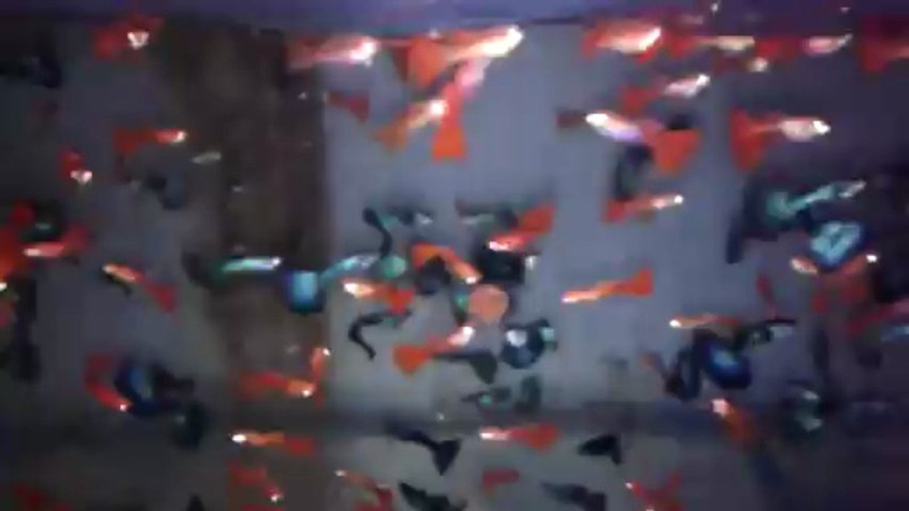 20130527_214518