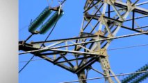 Crane Operator Causes Power Outage in One Third of Country