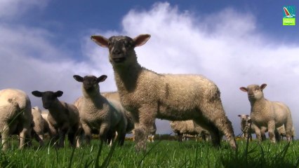 Welcome to Dublin Dun Laoghaire