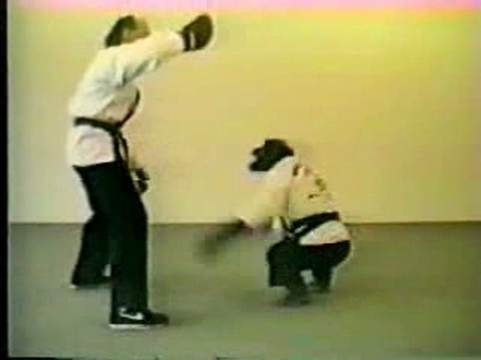 Chimpanzé ceinture noir