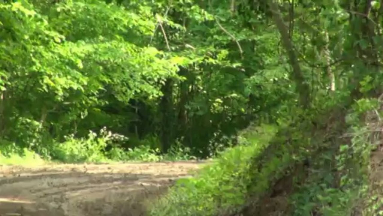 best of jean de la fontaine 2013