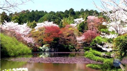 I've got you under my skin - Ray Conniff