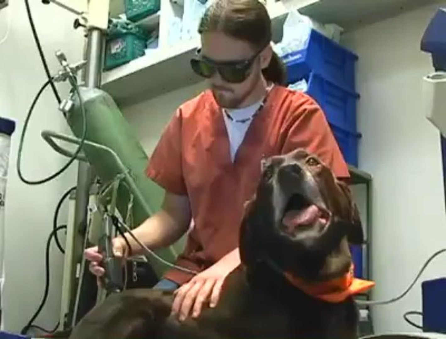 ⁣All Creatures Veterinary Hospital
