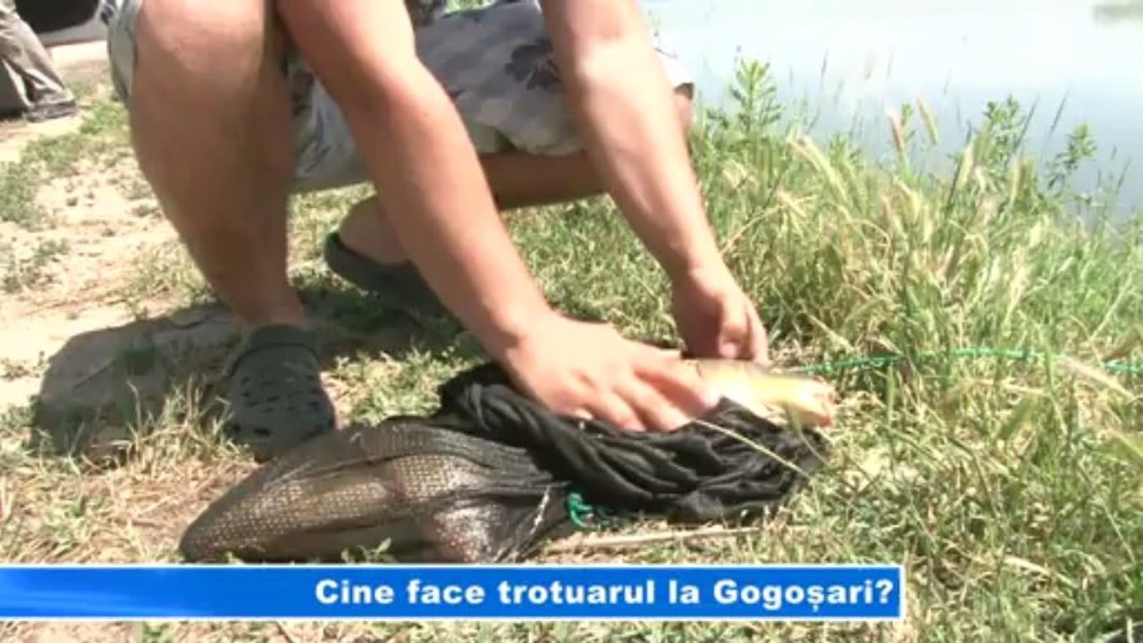 Cine face trotuarul