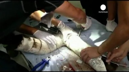 Chine : sauvetage d'un bébé coincé dans le conduit...