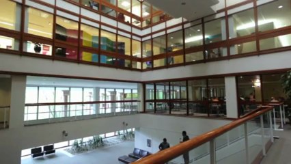 Inside a Meritocratic Tech Company: How Excellence Drives Success 💻