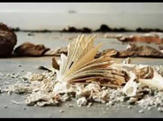 shareek-e-hayaat mila bhi to mara hoa mila....